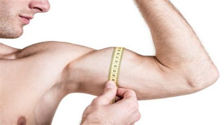Are 14 inch biceps good?