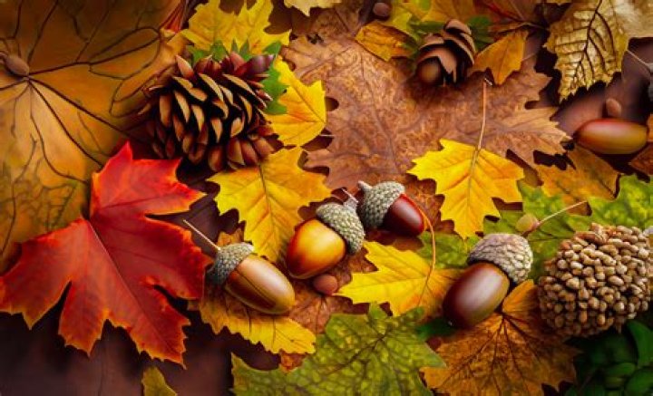 Are acorns and leaves alive?