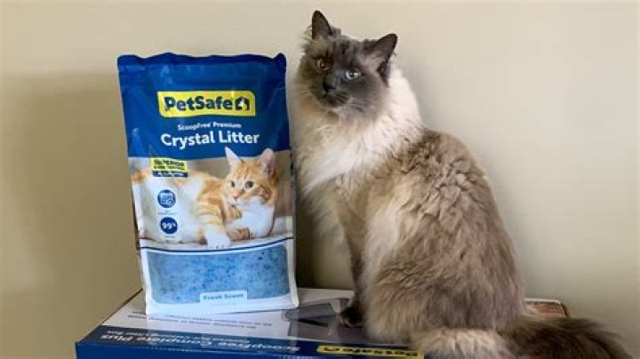 Are cat litter crystals biodegradable?