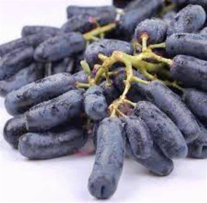 Are Finger grapes genetically modified?