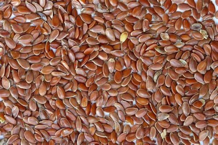 Are flax seeds like sesame seeds?