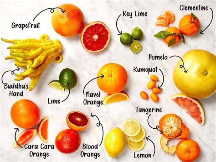 Are Halo oranges in season now?