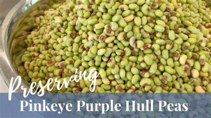 Are purple hull peas fattening?