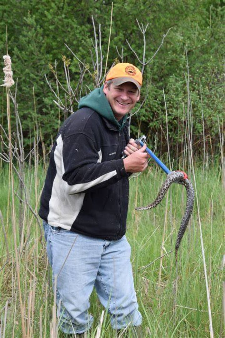 Are rattlesnakes in Michigan?