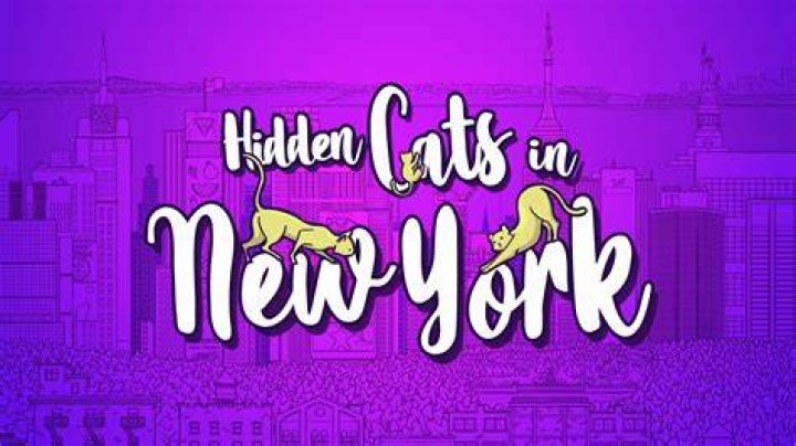 Are there big cats in New York?