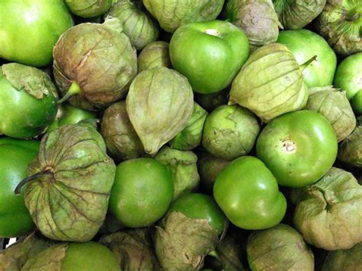 Are tomatillos tomatoes allergy?