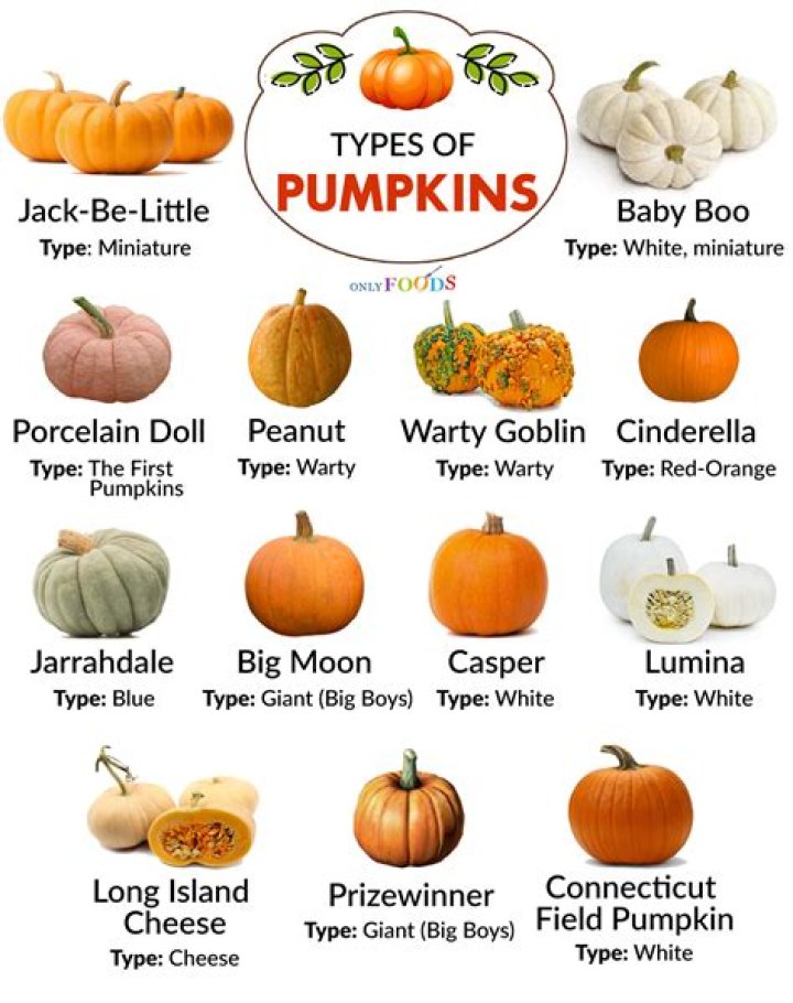Are warty pumpkins edible?