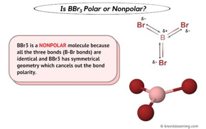Bbr3 polar or nonpolar?