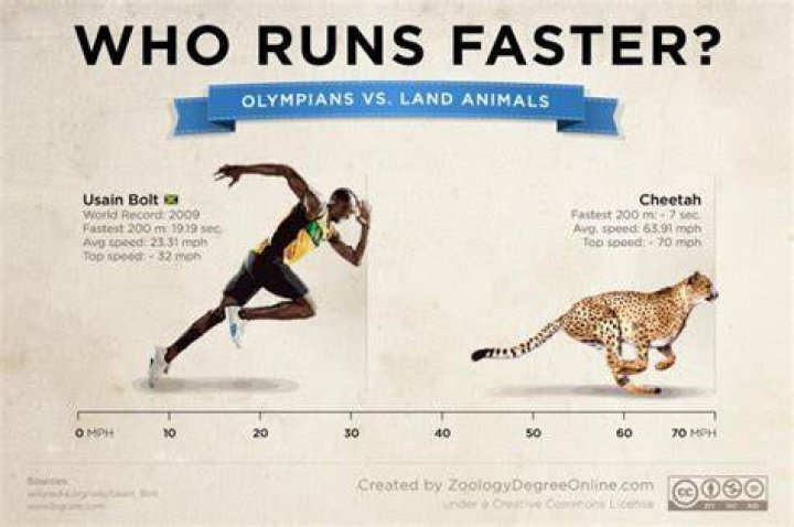 Can a human run faster than a cheetah?