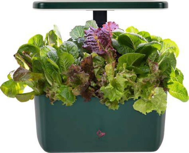 Can AeroGarden pods be transplanted?