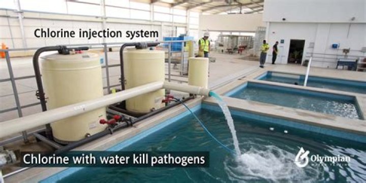 Can chlorine water be used to water plants?
