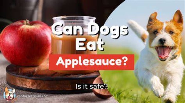 Can dogs eat applesauce?