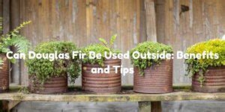 Can Douglas fir be used outside?