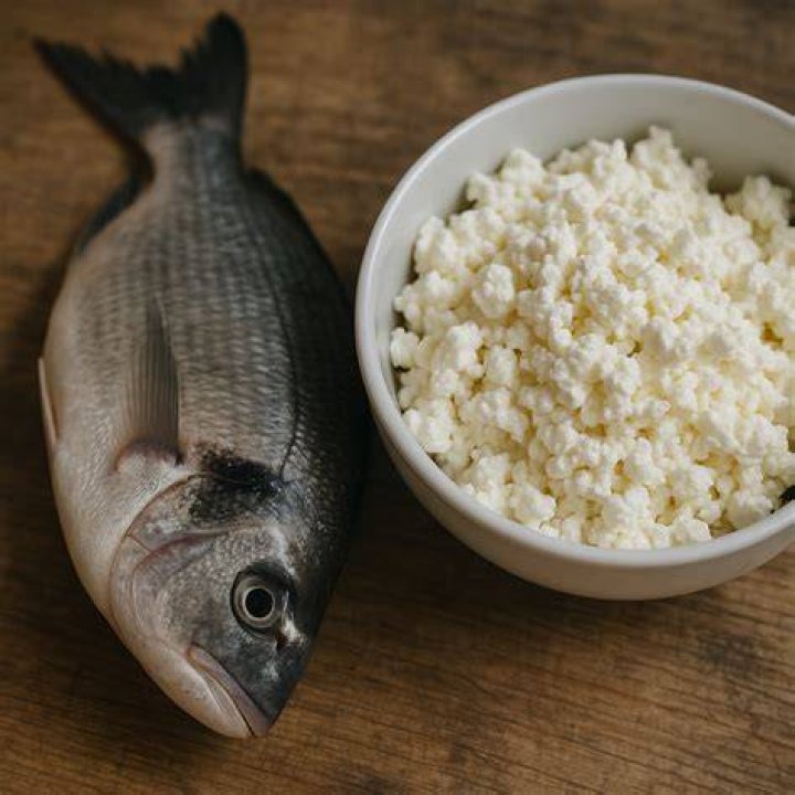 Can fish be eaten with curd?