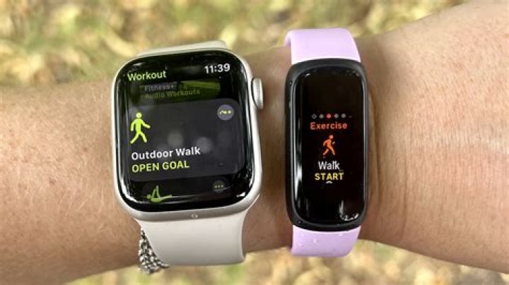 Can fitbit tell your weight?