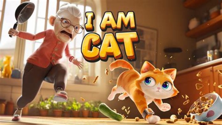 Can I cheat in amcat?
