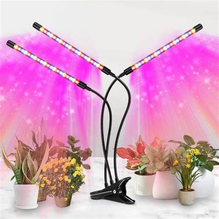 Can I use a regular LED light to grow plants?