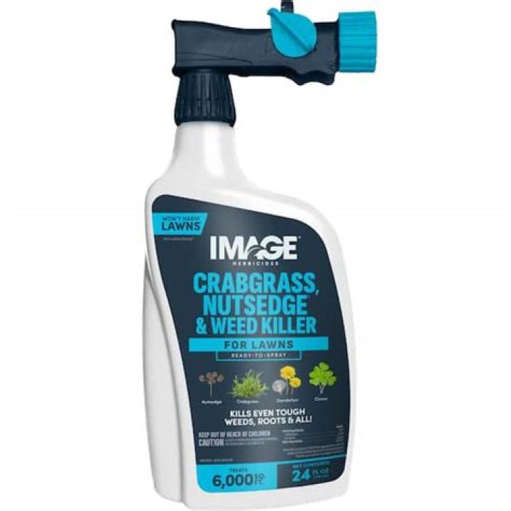 Can I use moss killer in winter?