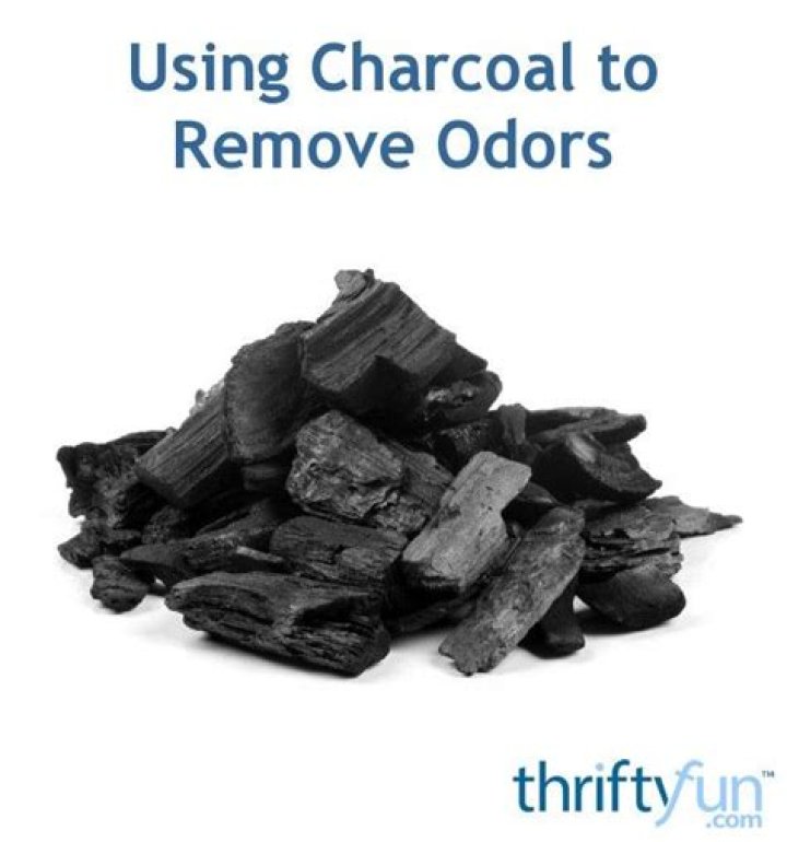 Can I use regular charcoal to remove odors?