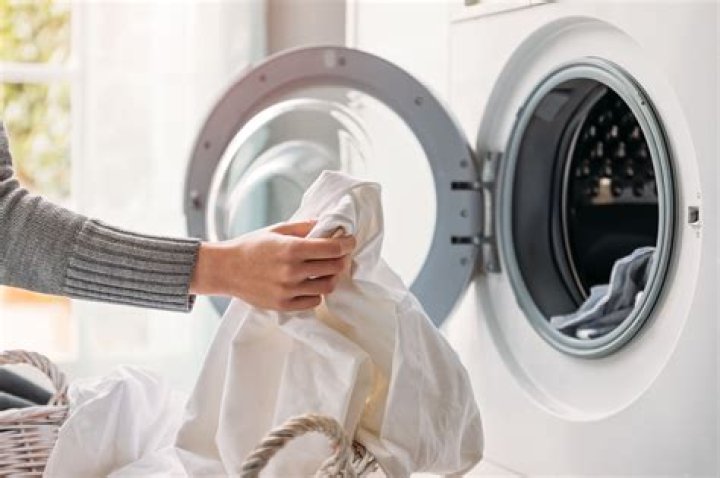 Can lice live in the washing machine?