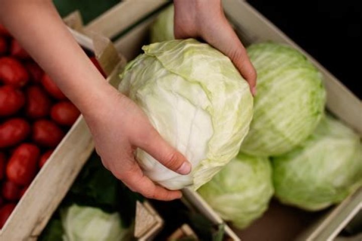 Can too much cabbage make you constipated?