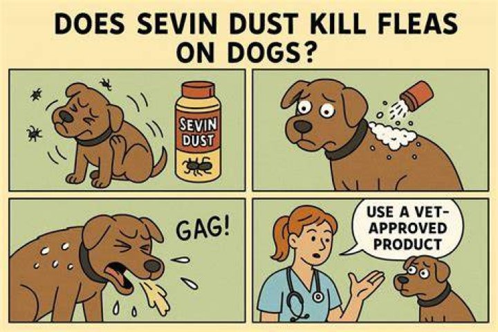 Can Wonder Dust be used on dogs?
