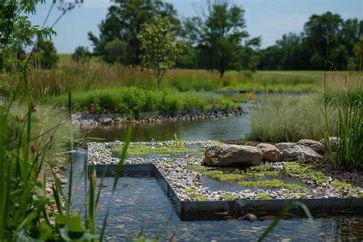 Can you build on wetlands in NJ?