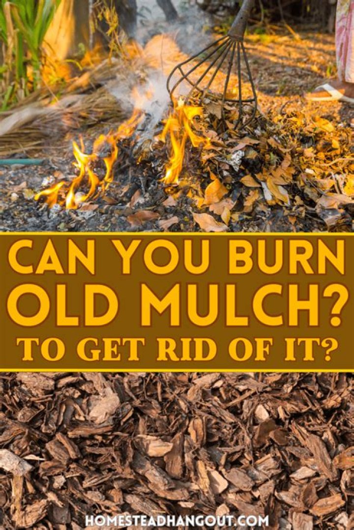 Can you burn old mulch?
