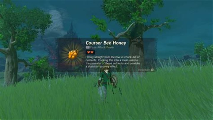Can you buy Courser Bee Honey Botw?