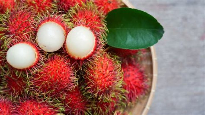 Can you buy rambutan in the US?