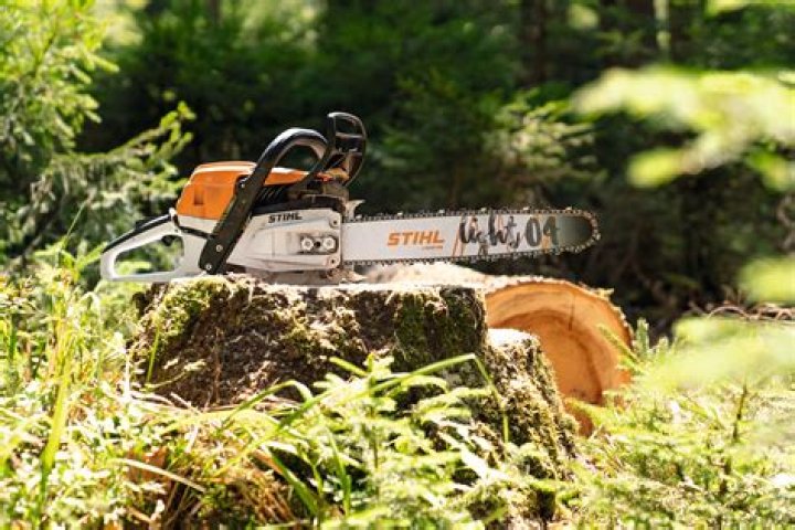 Can you buy Stihl products online?