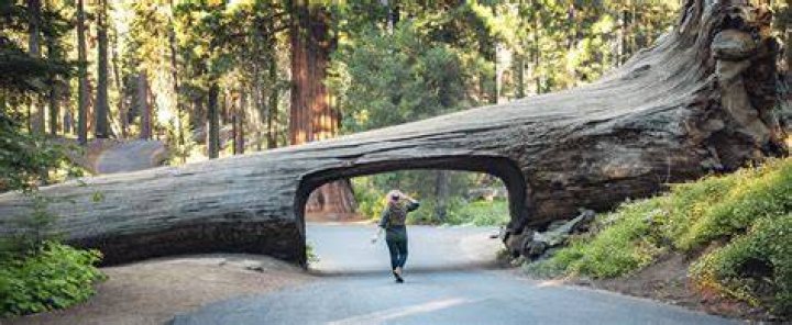 Can you camp anywhere in Sequoia National Park?