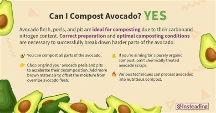 Can you compost avocado skins?