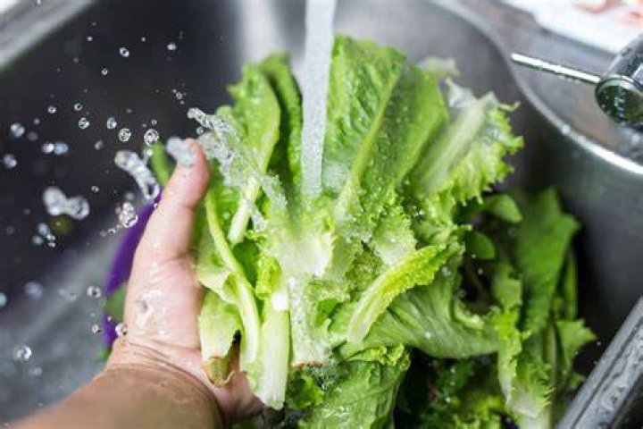 Can you dehydrate lettuce?