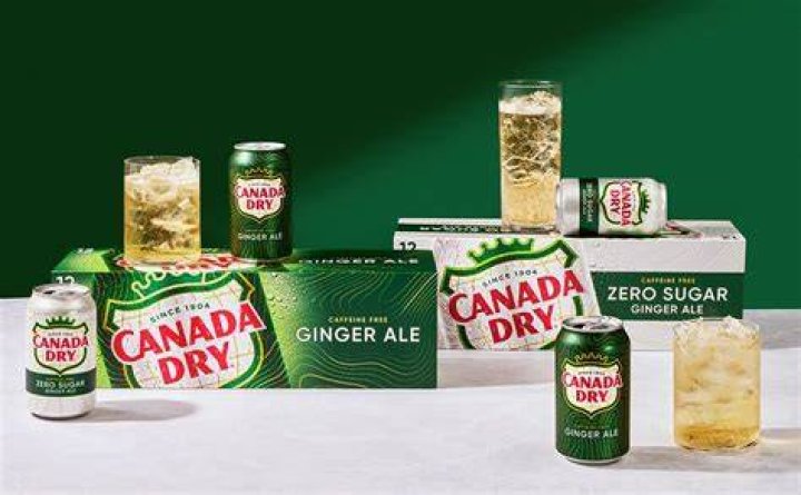 Can You Drink Canada Dry ginger ale while pregnant?