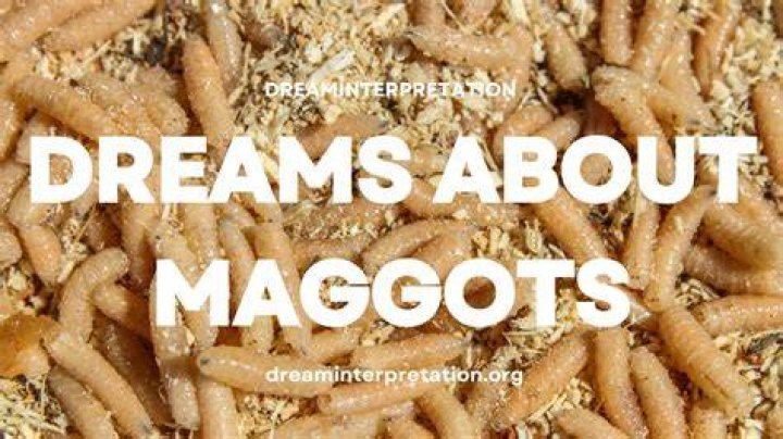 Can you drown maggots?
