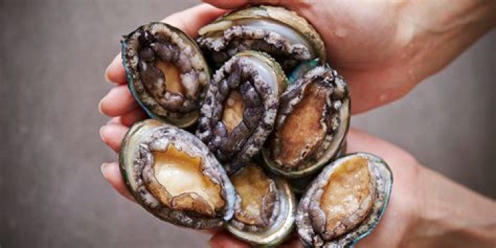 Can you eat abalone straight from the can?