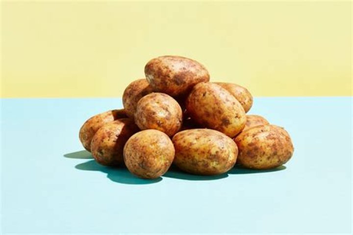 Can you eat seed potatoes?