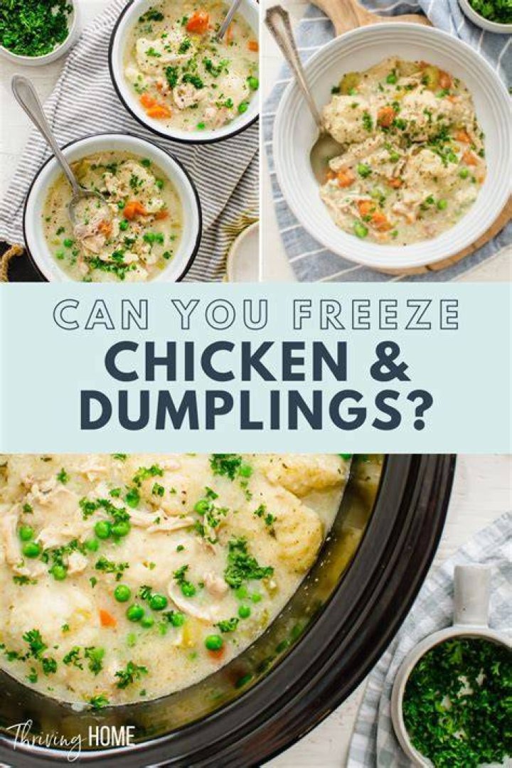 Can you freeze chicken and dumplings?