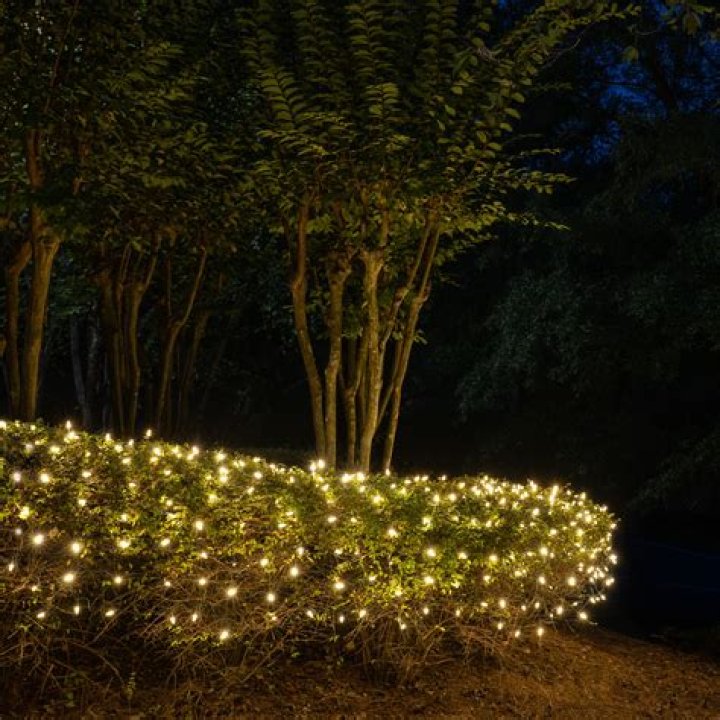 Can you put icicle lights on bushes?