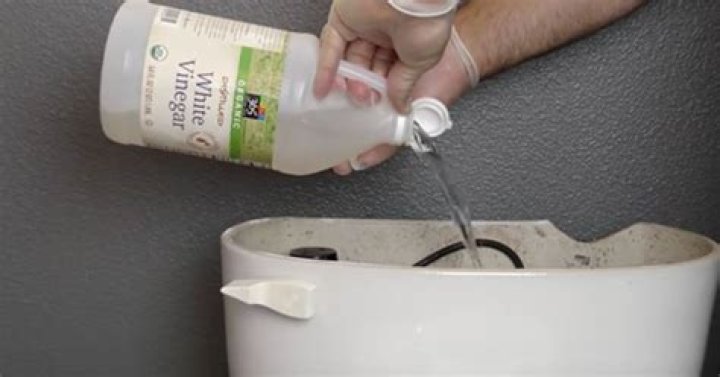 Can you put white vinegar in your toilet tank?