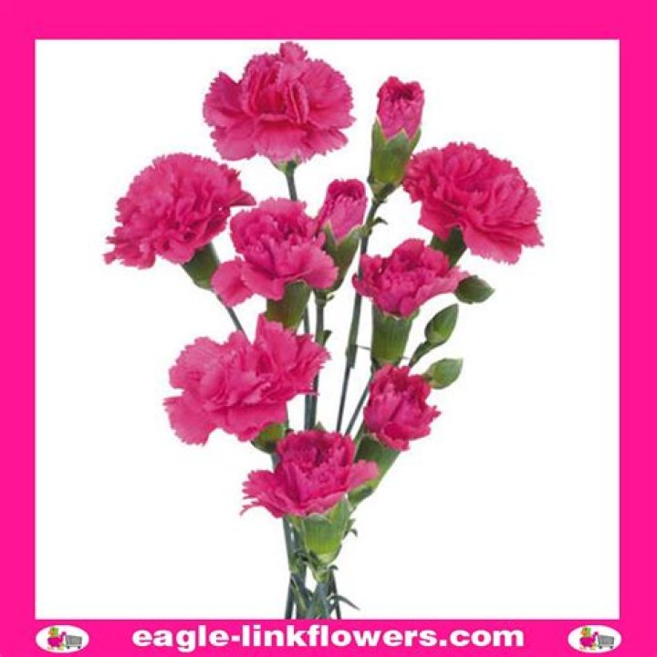 Can you return flowers to Kroger?