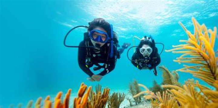 Can you scuba dive at Disney World?
