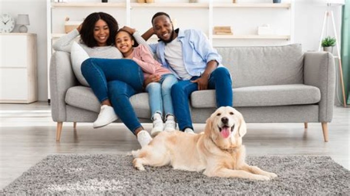 Can you use fabric softener on carpets?