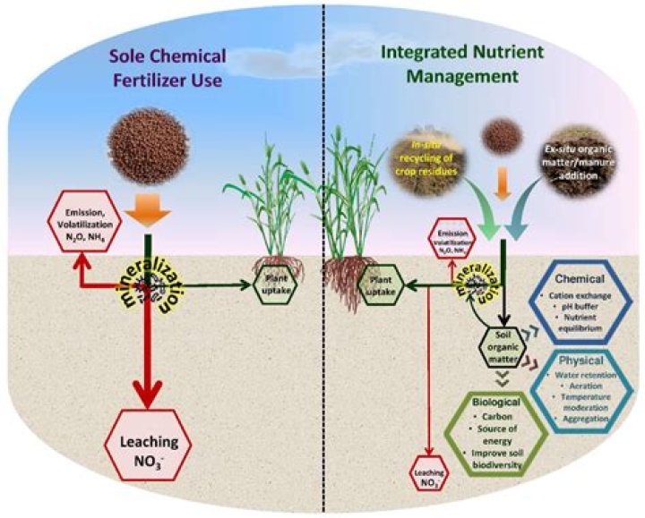 Can you use fungicide and fertilizer at the same time?