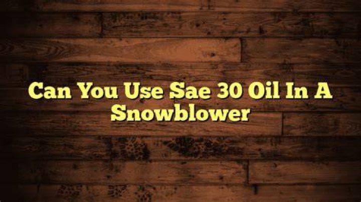 Can you use SAE 30 oil in a snowblower?