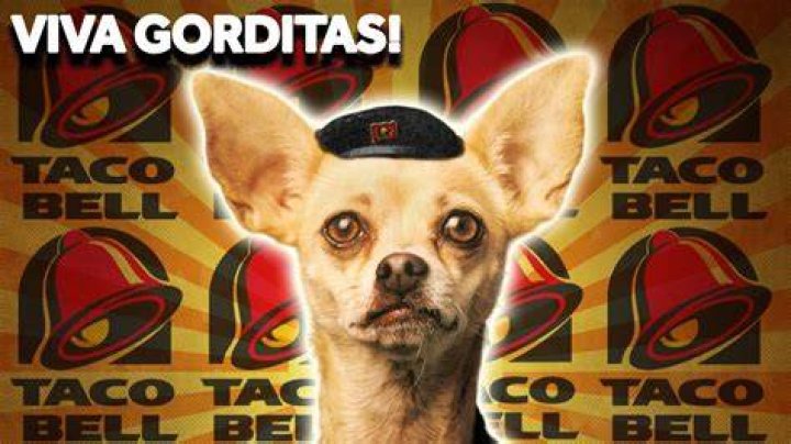 Did Taco Bell get rid of the gordita?