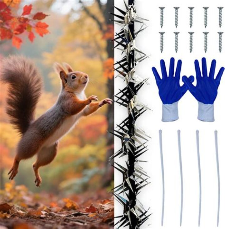 Do bird spikes work for squirrels?