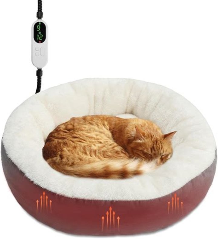 Do cats like heated beds?