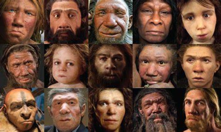 Do humans have a niche?
